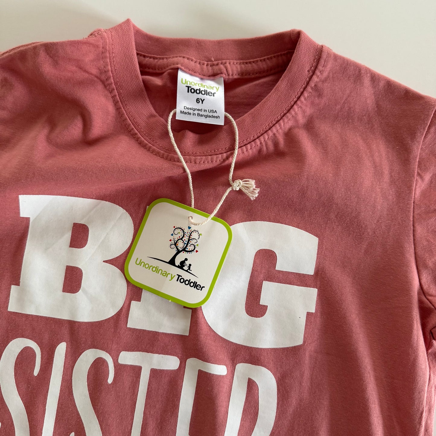 Size 6Y | NWT | BIG SISTER tee