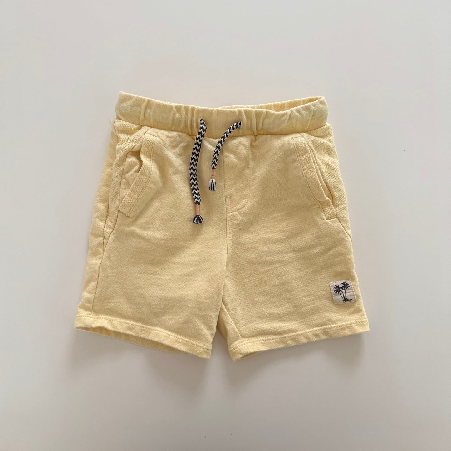 Size 4T | Art class palm tree appliqué shorts