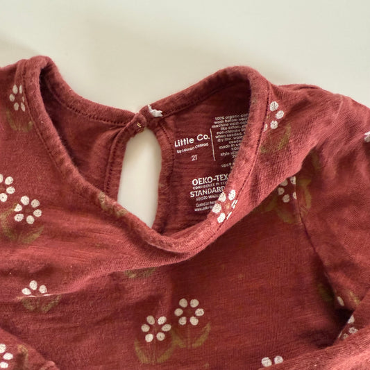 Size 2T | Little Co long sleeve dress
